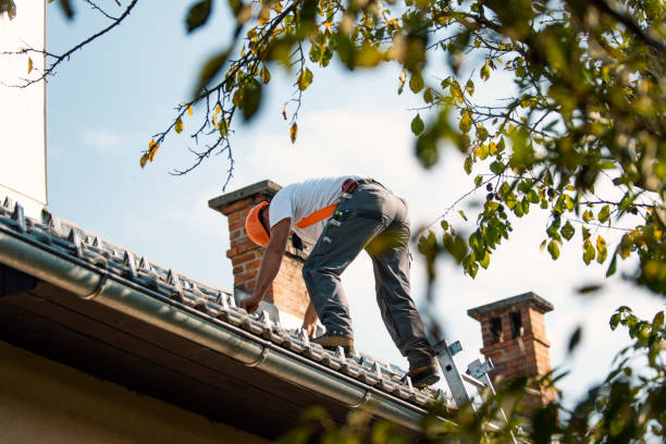 Best Metal Roofing Contractor  in Chester Heights, PA