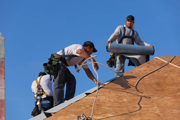 Best Gutter Installation and Roofing  in Chester Heights, PA